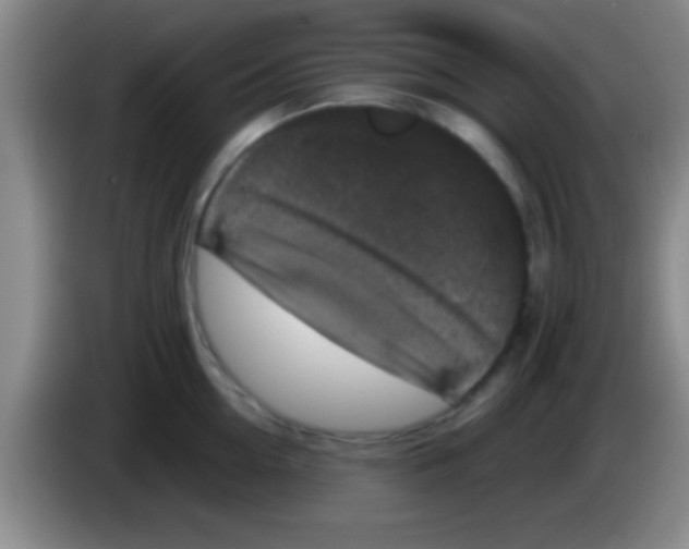 X0000084010954200703091924