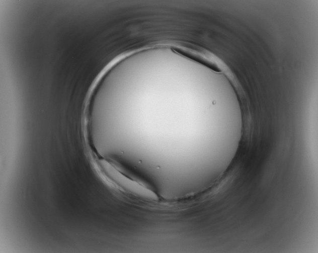 X0000084010955200703091924