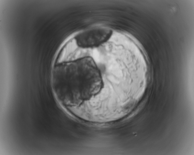 X0000084010957200703091924