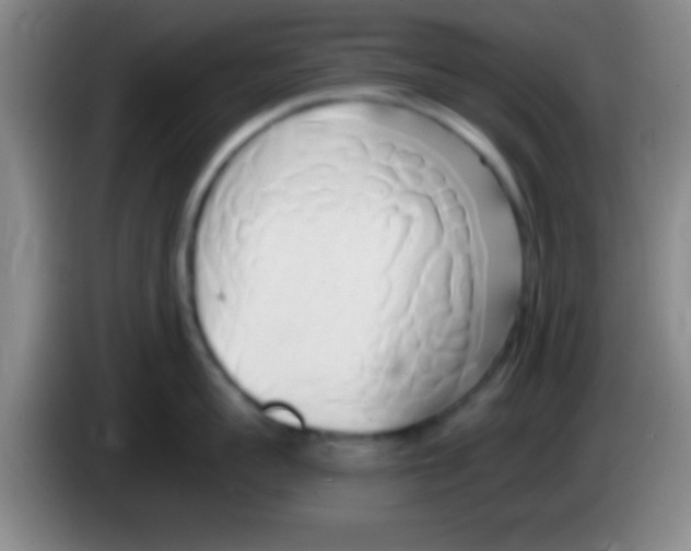 X0000084010959200703091924