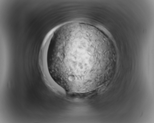 X0000084010960200703091924