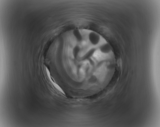 X0000084010963200703091924