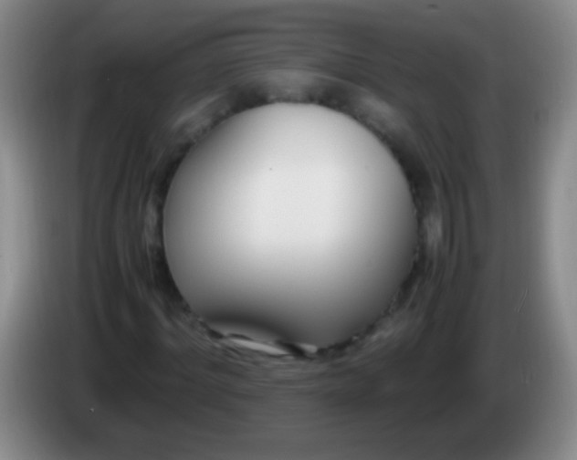 X0000084010964200703091924