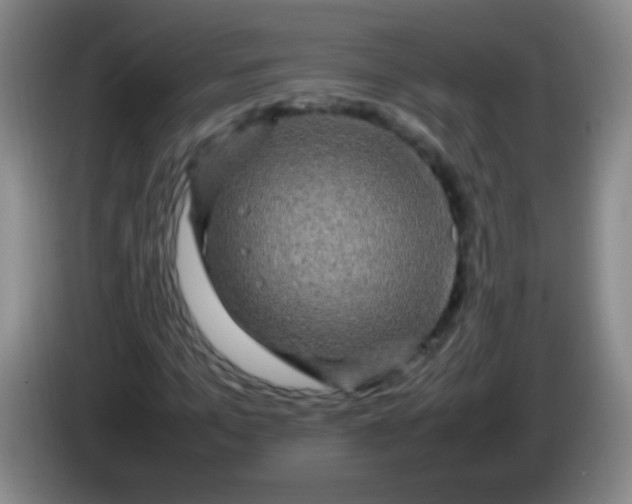 X0000084010965200703091924