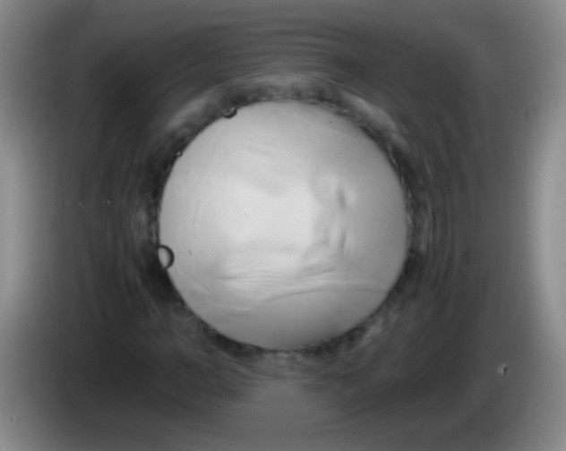 X0000084010966200703091924