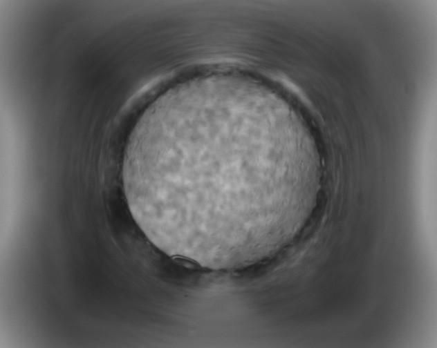 X0000084010967200703091924