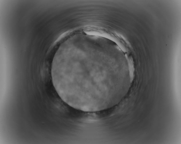 X0000084010968200703091923