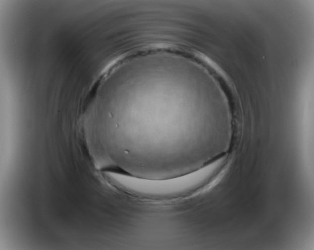 X0000084010969200703091923