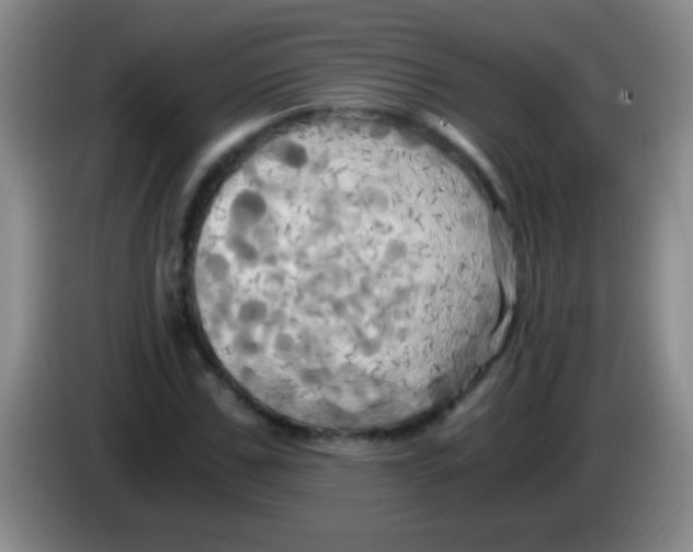 X0000084010971200703091923