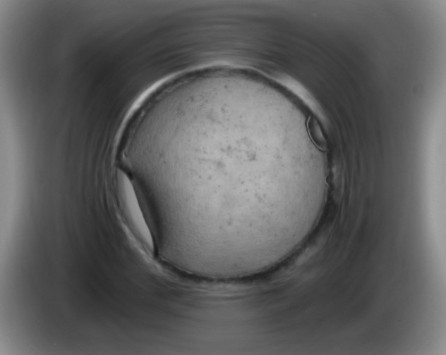 X0000084010972200703091923