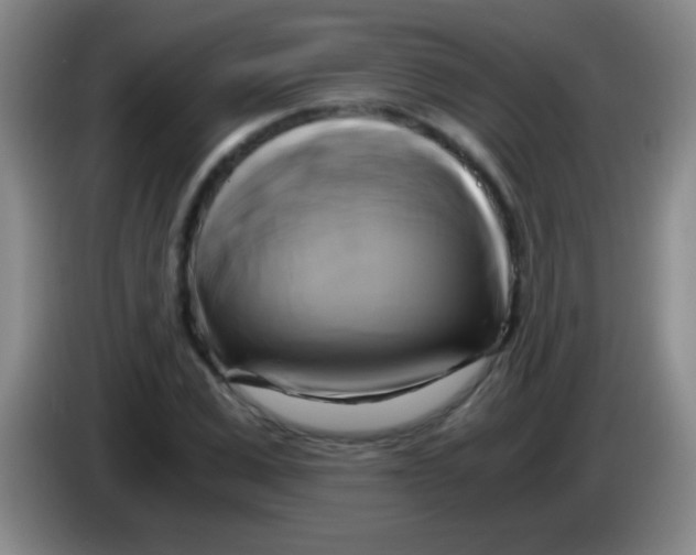 X0000084010975200703091923