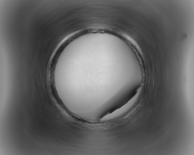 X0000084010976200703091923