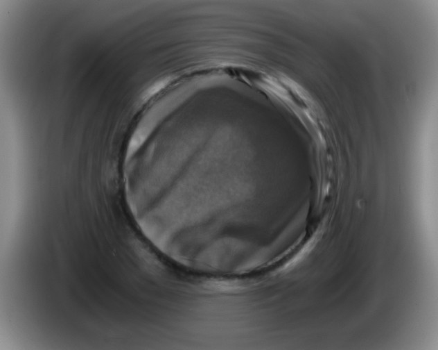 X0000084010977200703091923