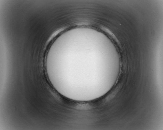 X0000084010978200703091923