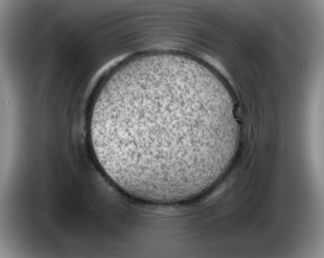 X0000084010979200703091923