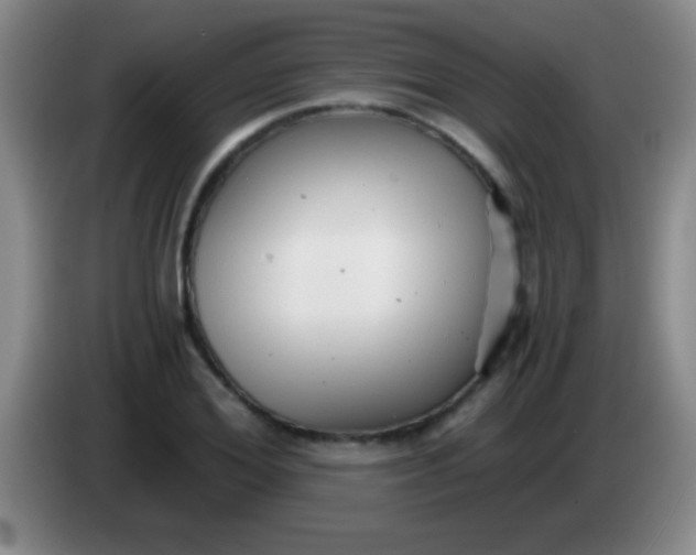 X0000084010980200703091923