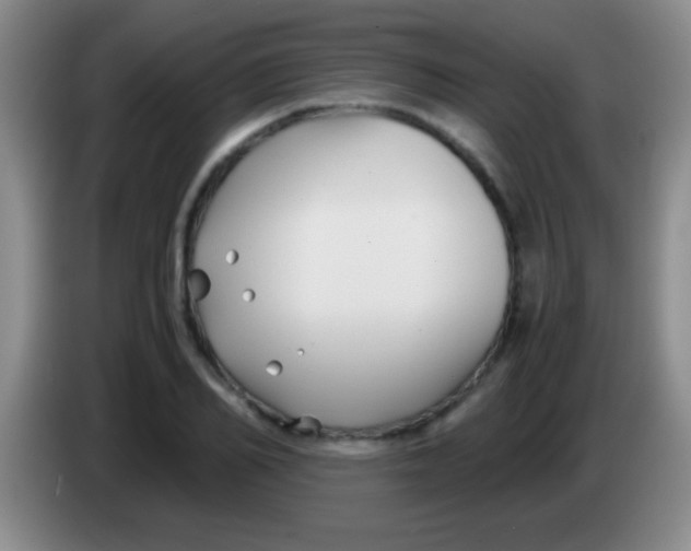 X0000084010982200703091923