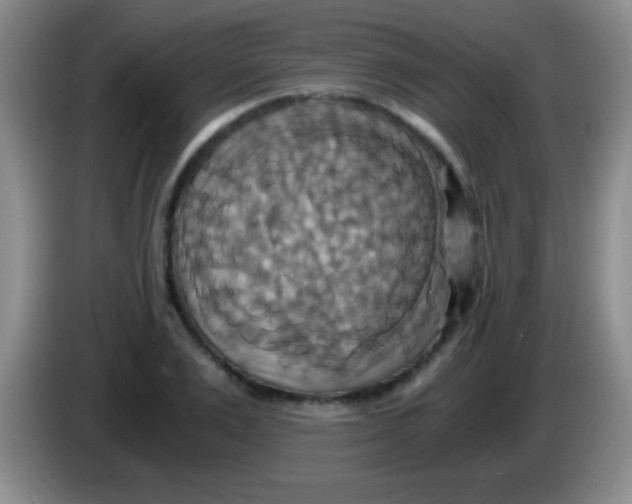 X0000084010983200703091923