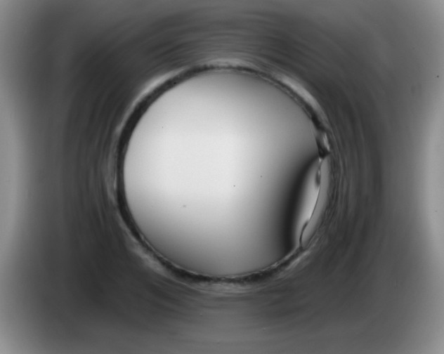 X0000084010984200703091923