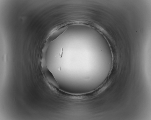 X0000084010985200703091923