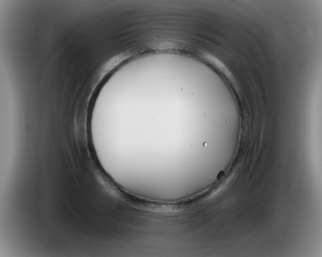 X0000084010986200703091923