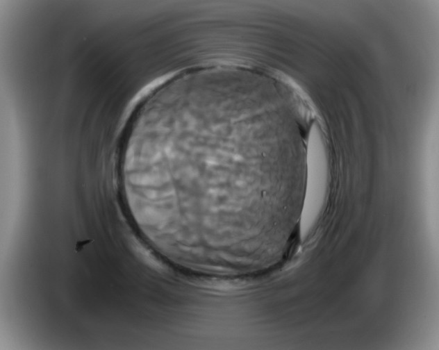 X0000084010987200703091923