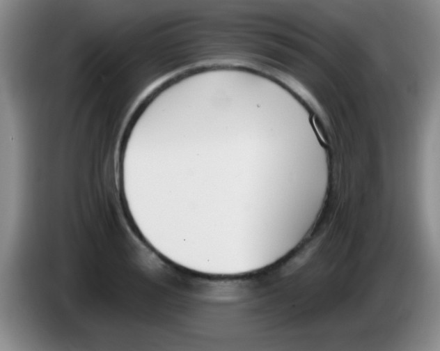 X0000084010988200703091923