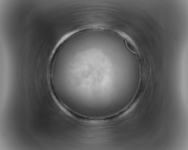 X0000084010989200703091923