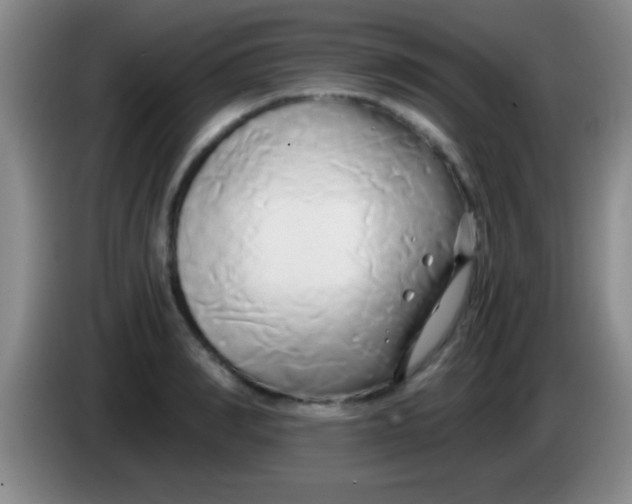 X0000084010990200703091923