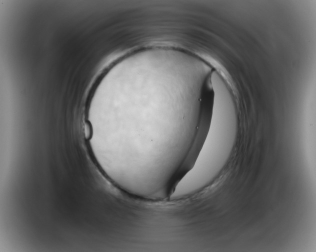 X0000084010992200703091923