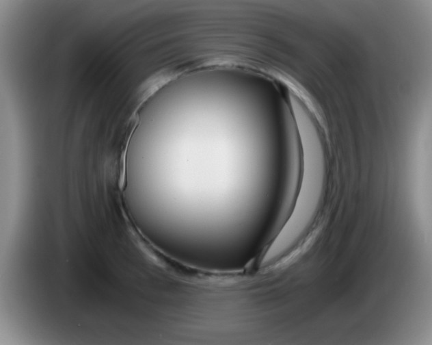 X0000084010993200703091923