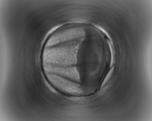 X0000084010995200703091923