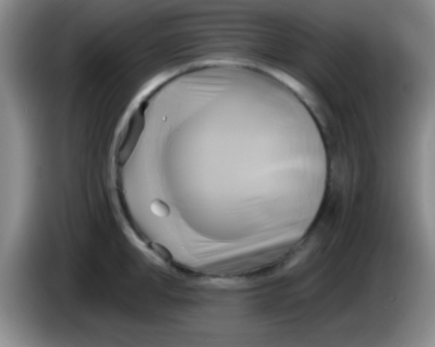 X0000084010998200703091923