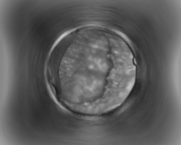 X0000084010999200703091923