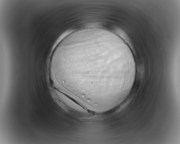 X0000084011002200703091923