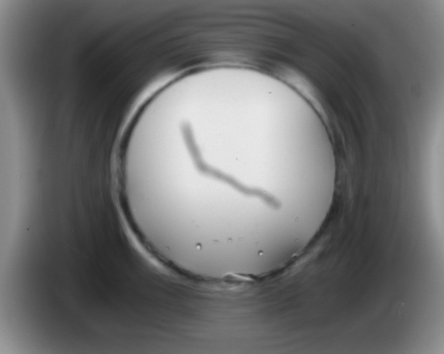 X0000084011003200703091923