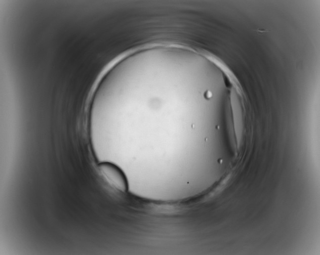 X0000084011004200703091923