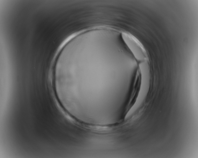 X0000084011007200703091923