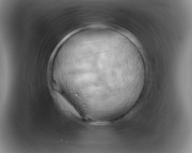 X0000084011008200703091923