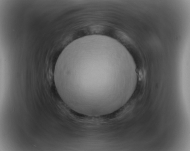 X0000084011011200703091922