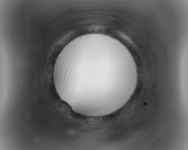 X0000084011015200703091922