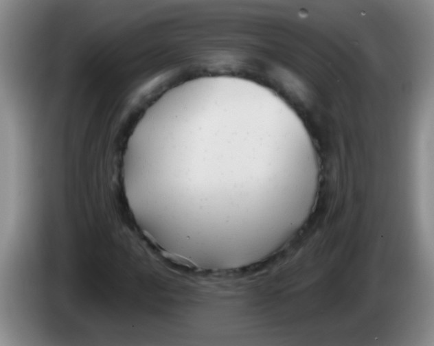 X0000084011016200703091922