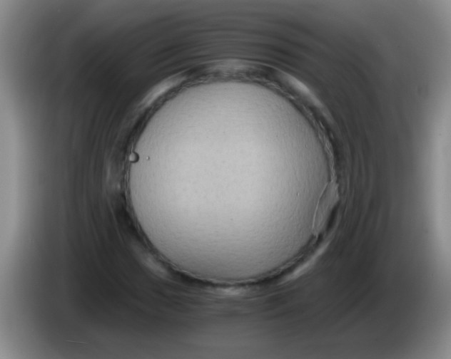 X0000084011017200703091922