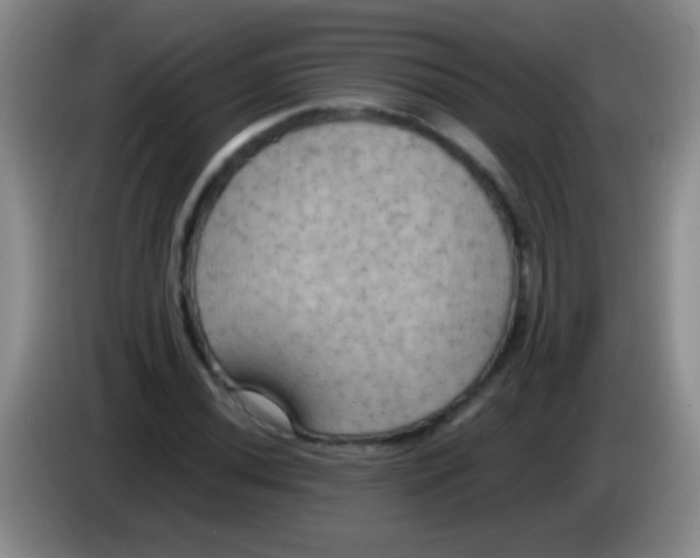 X0000084011020200703091922