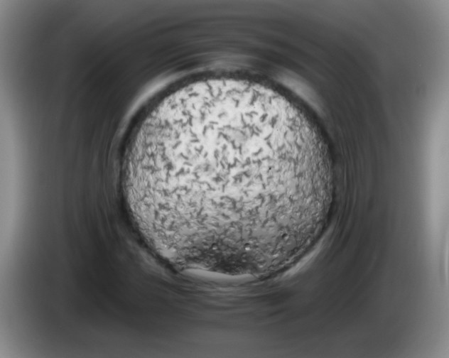 X0000084011021200703091922