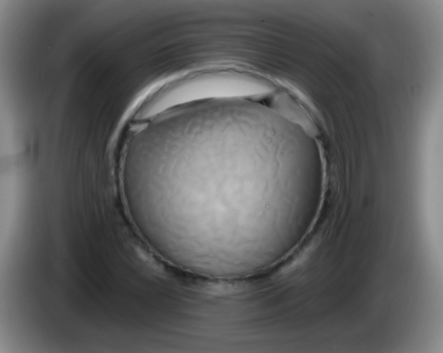 X0000084011022200703091922