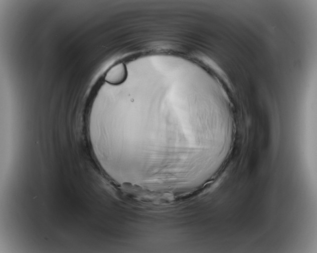 X0000084011023200703091922