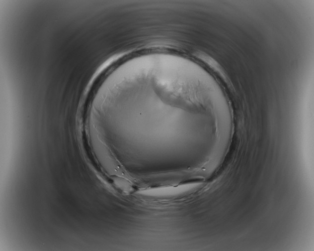 X0000084011024200703091922