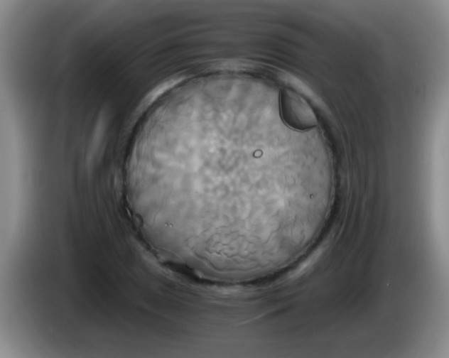 X0000084011025200703091922