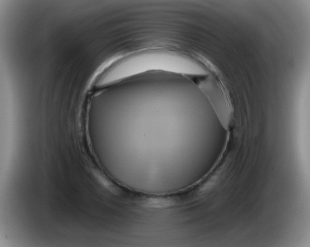 X0000084011026200703091923